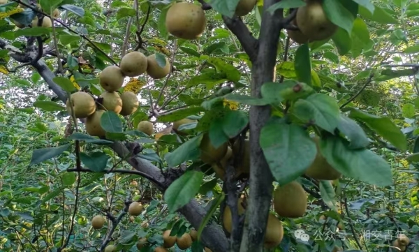 57147a3c95a04a92d76c24bb4cd438c.jpg 57147a3c95a04a92d76c24bb4cd438c.jpg