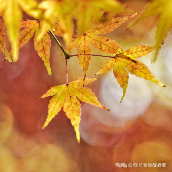 微信圖片_20241129192520.png 微信圖片_20241129192520.png